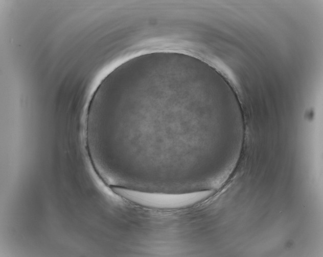 X0000091011528200708161948