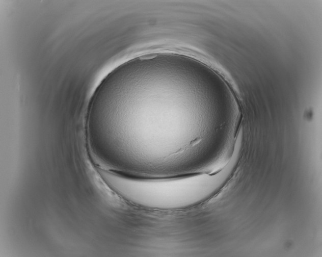 X0000091011530200708161948