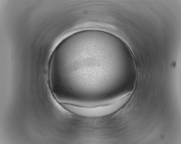 X0000091011531200708161948