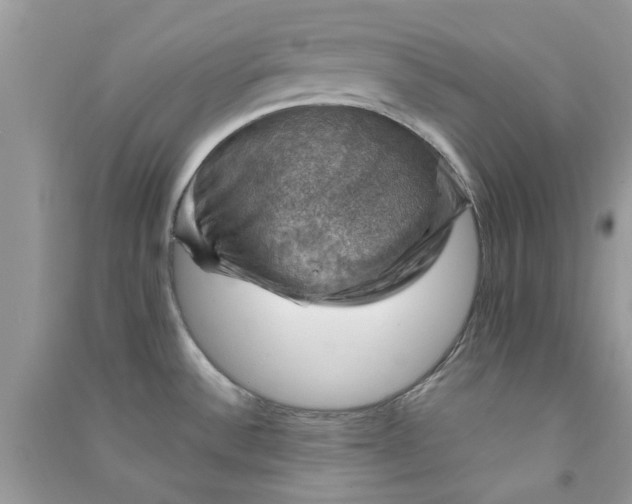 X0000091011532200708161948