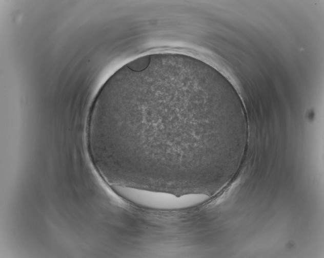 X0000091011533200708161948