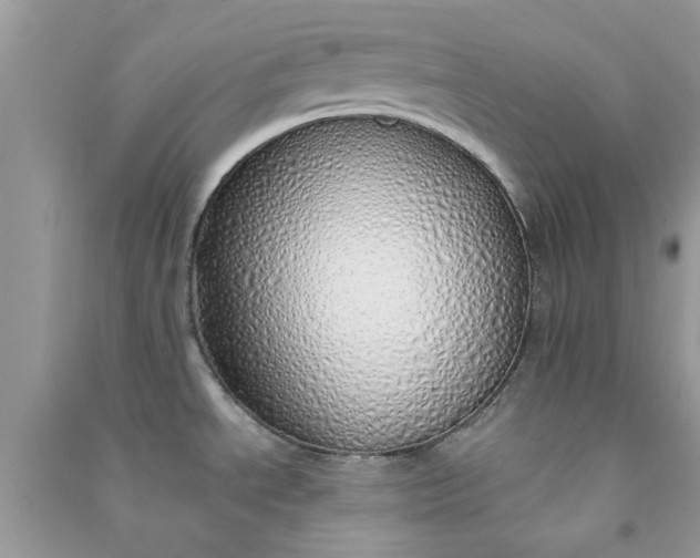 X0000091011534200708161948