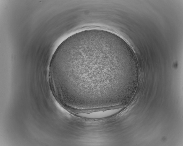 X0000091011535200708161948