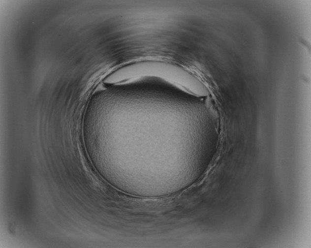 X0000091010001200708241523