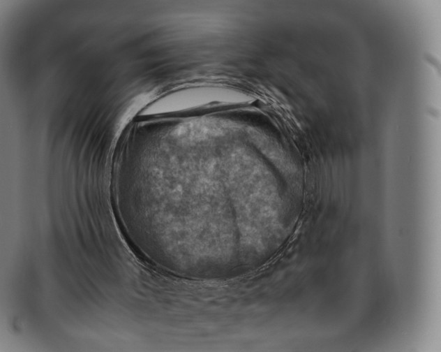 X0000091010003200708241523