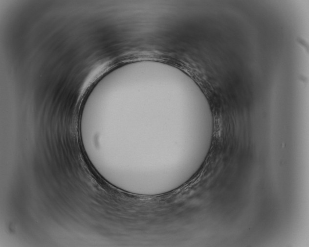 X0000091010004200708241523