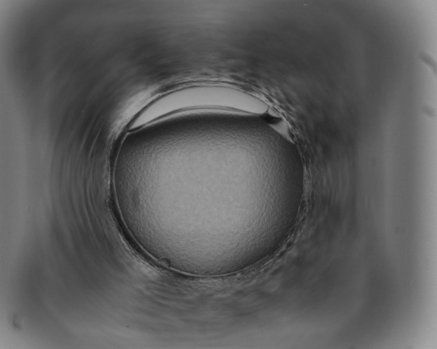 X0000091010005200708241523