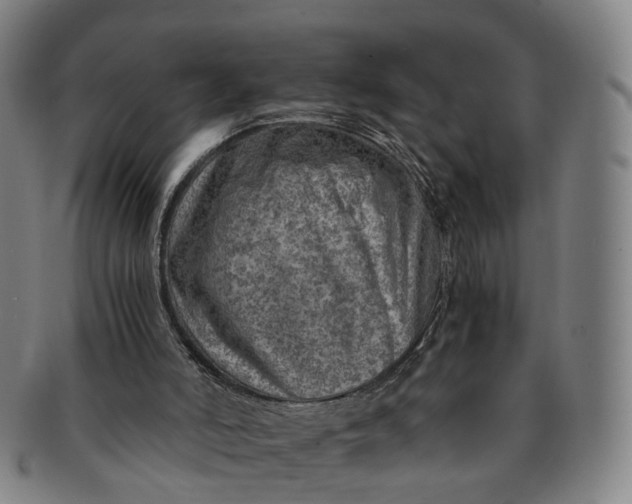 X0000091010006200708241523