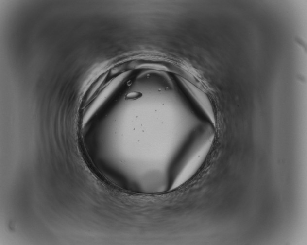 X0000091010007200708241523