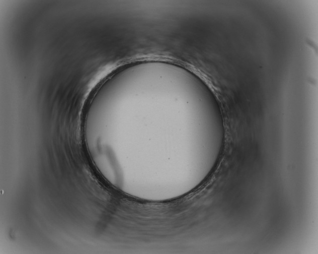 X0000091010008200708241523