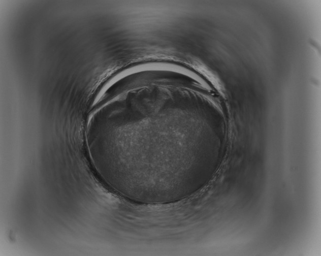 X0000091010009200708241523