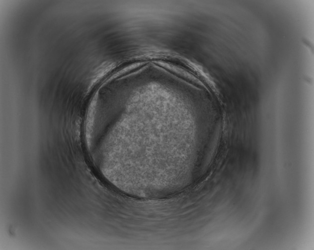 X0000091010010200708241523