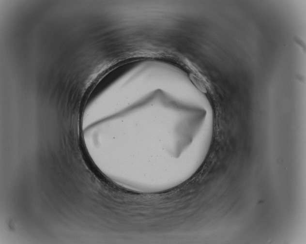 X0000091010011200708241523