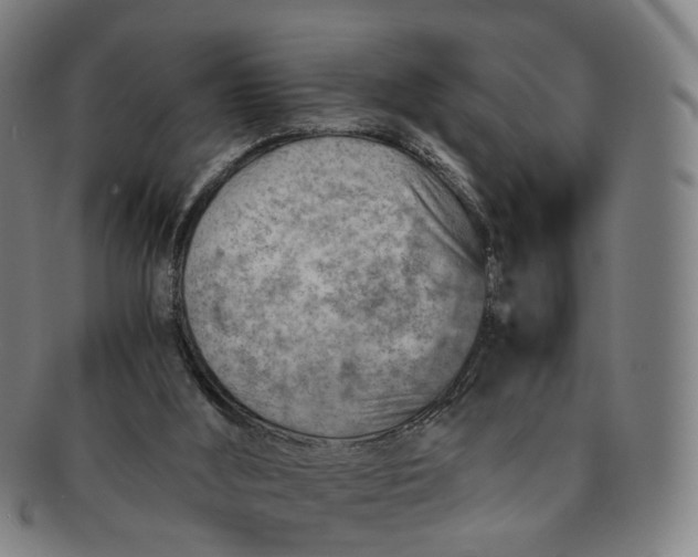 X0000091010012200708241523