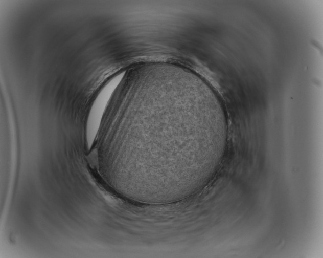 X0000091010013200708241523