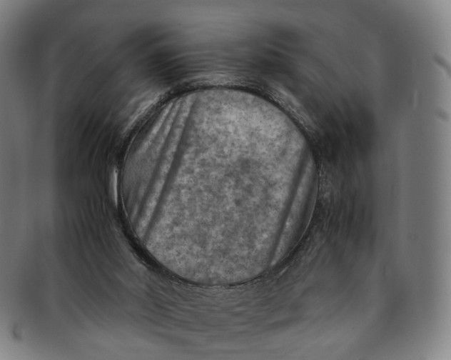 X0000091010014200708241523