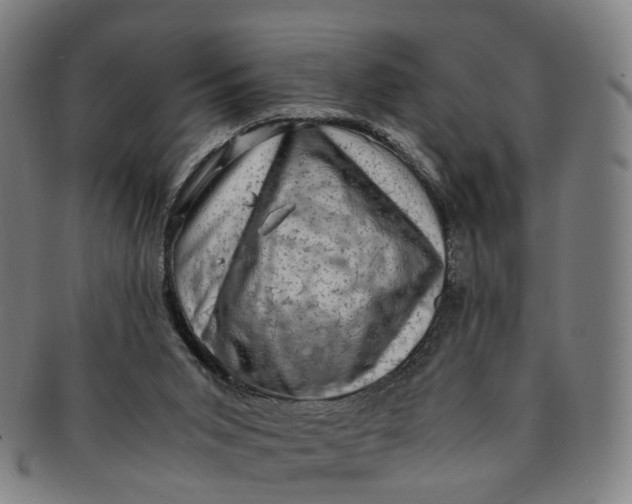 X0000091010015200708241523