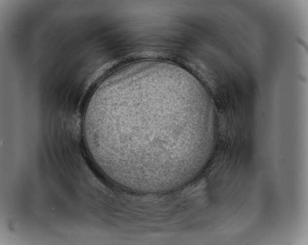 X0000091010016200708241523