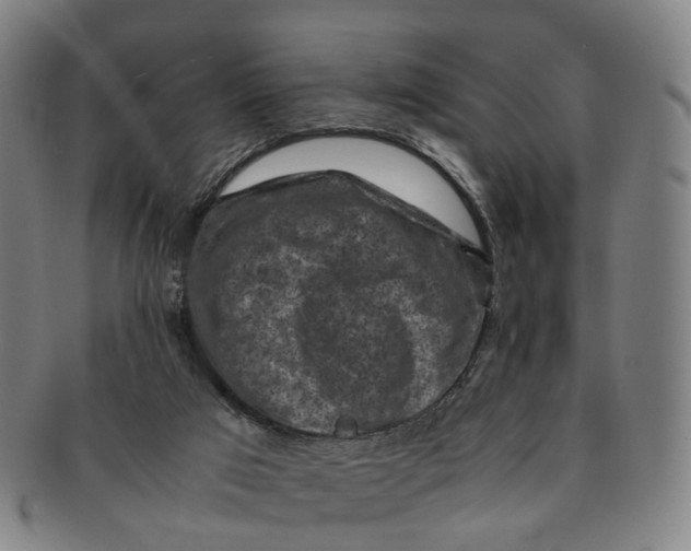 X0000091010017200708241523