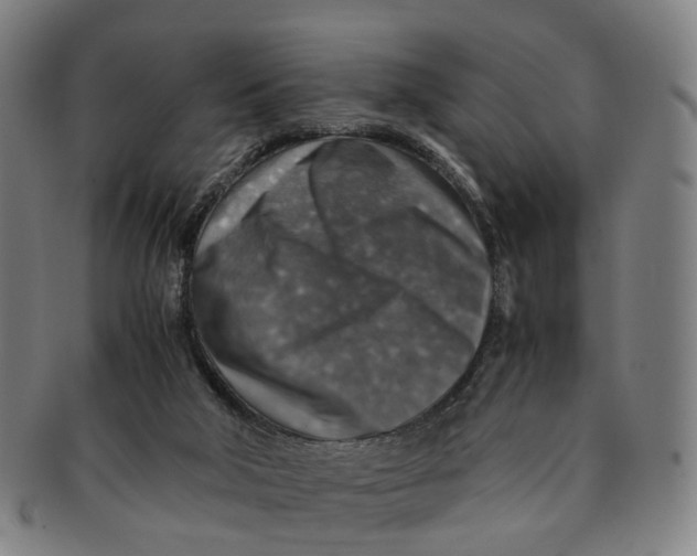 X0000091010018200708241523