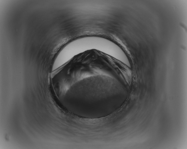 X0000091010019200708241523