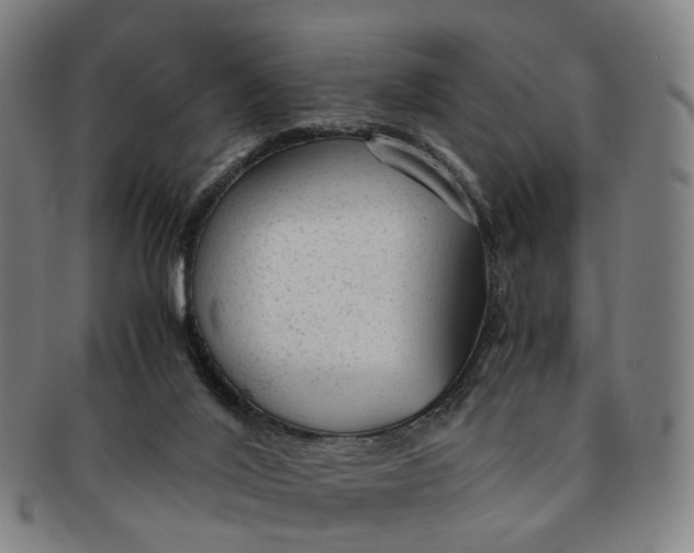 X0000091010020200708241523