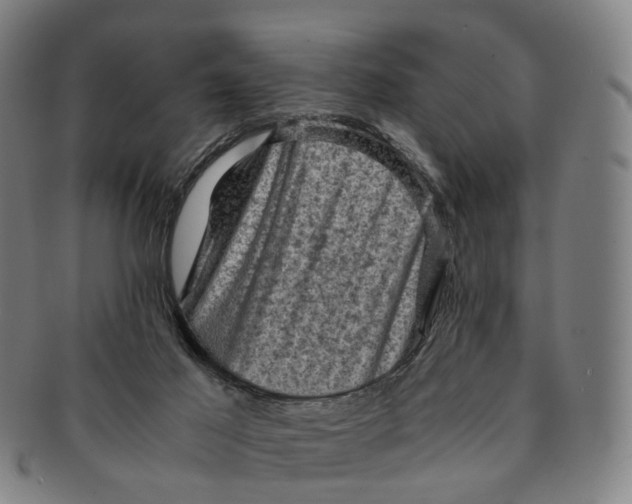 X0000091010021200708241523