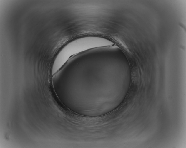 X0000091010023200708241523