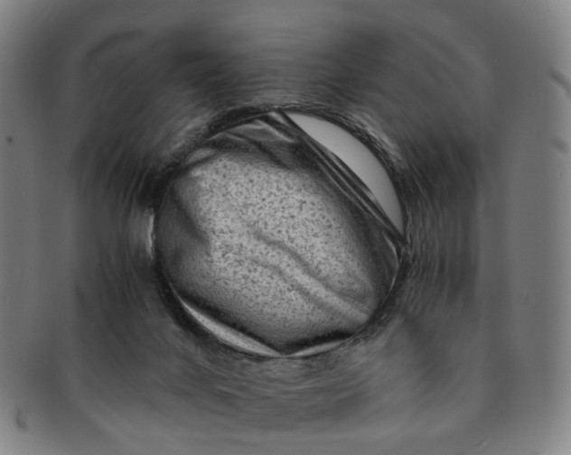 X0000091010024200708241523