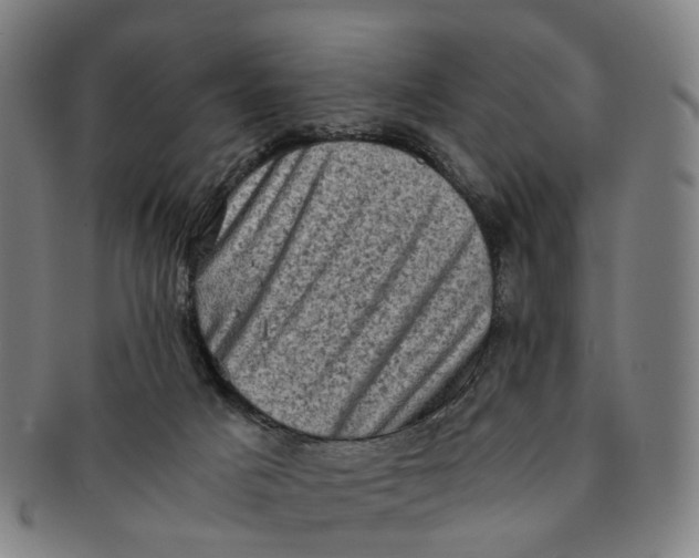 X0000091010025200708241523