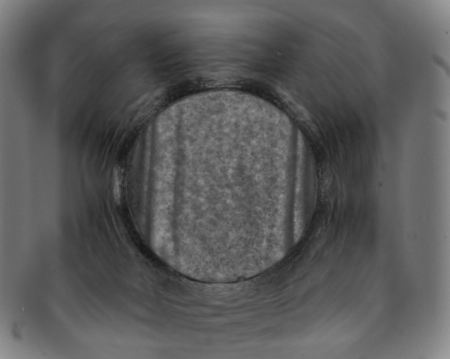 X0000091010026200708241523