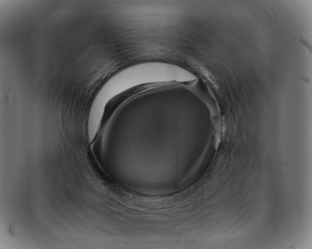 X0000091010027200708241523