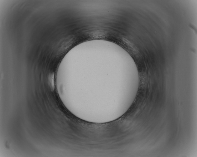 X0000091010028200708241523