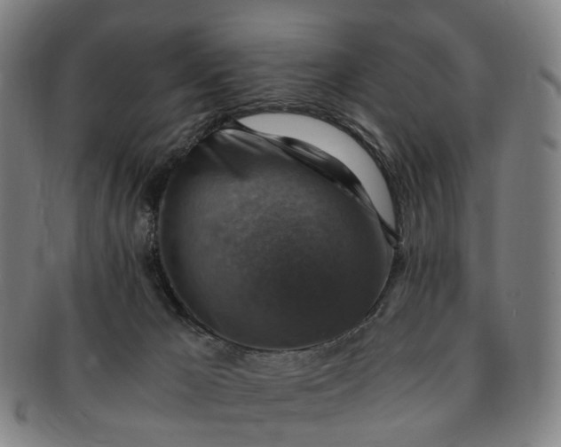 X0000091010029200708241523