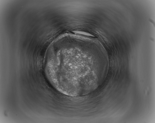 X0000091010030200708241523