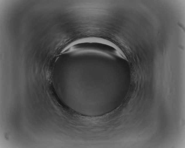 X0000091010031200708241522