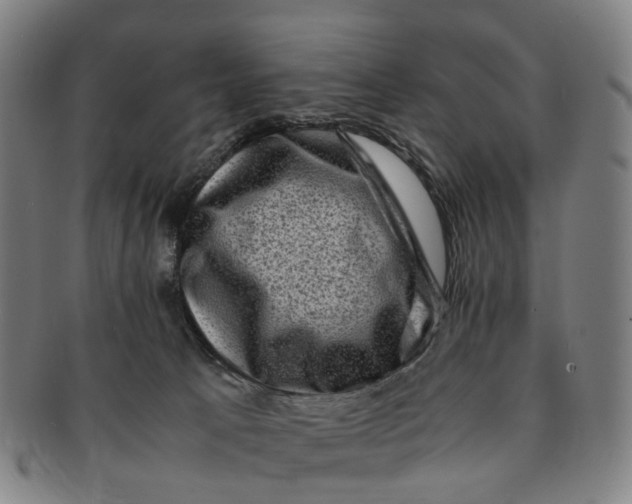 X0000091010033200708241522