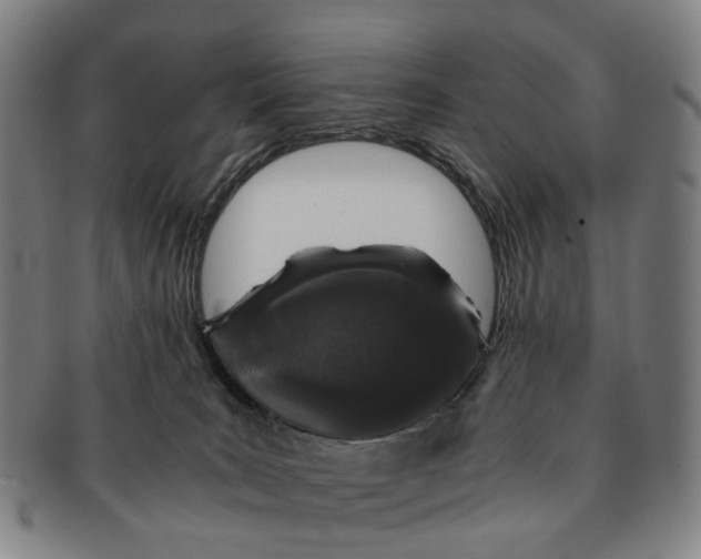 X0000091010035200708241522