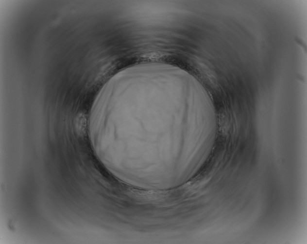 X0000091010036200708241522