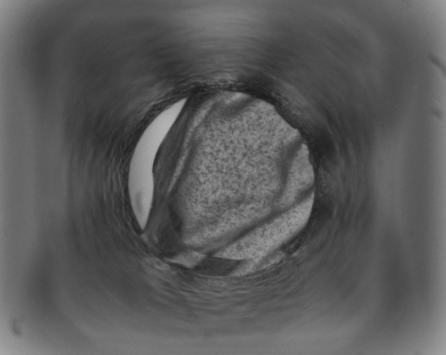 X0000091010037200708241522