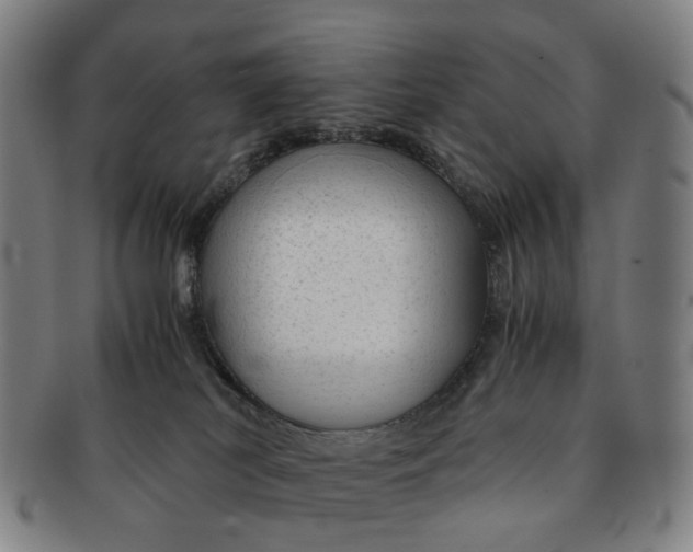 X0000091010038200708241522