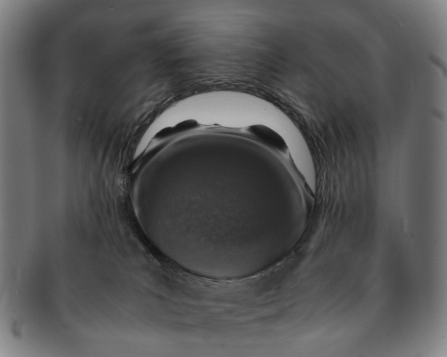 X0000091010039200708241522