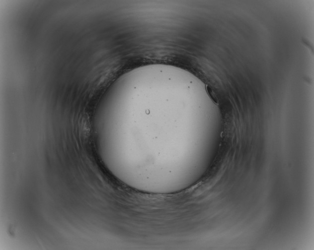 X0000091010040200708241522