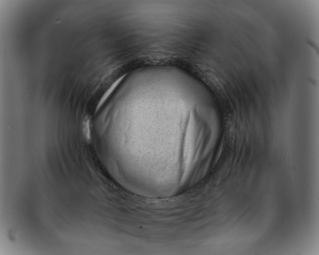 X0000091010042200708241522