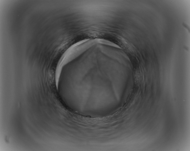 X0000091010043200708241522