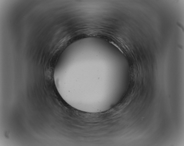 X0000091010044200708241522