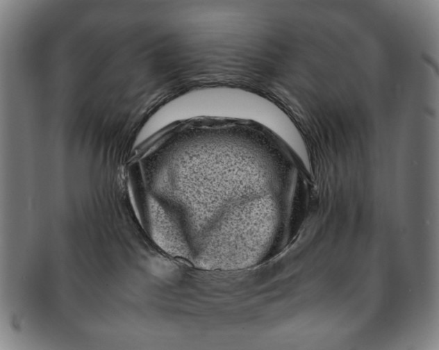 X0000091010045200708241522