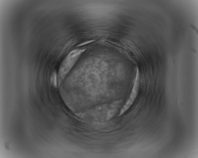 X0000091010046200708241522