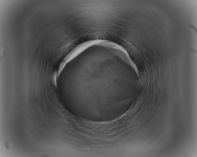 X0000091010047200708241522