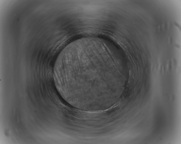 X0000091010048200708241522